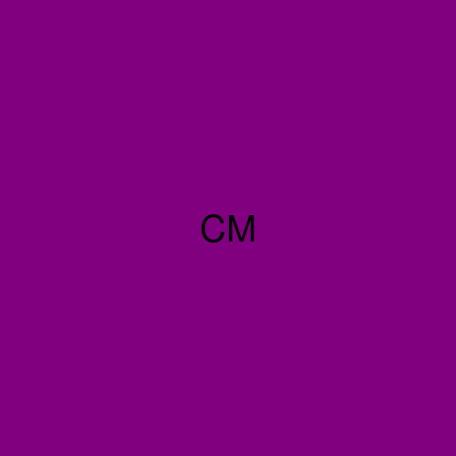 Collective Mind